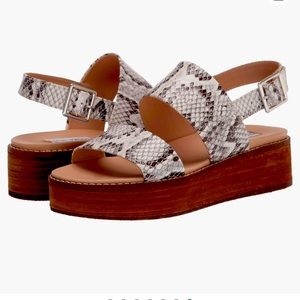 Steve Madden Teenie Wedge Sandal in Bone Snake